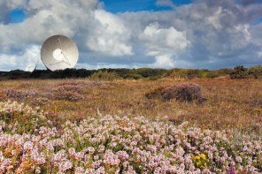 Cornish Heath