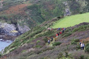 fal walk