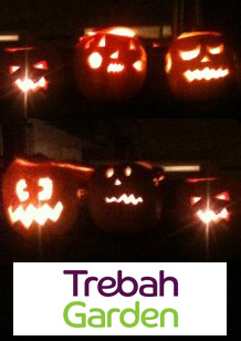 trebah halloween