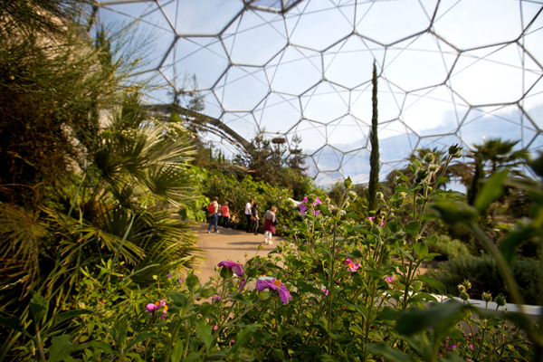 Mediterranean Biome