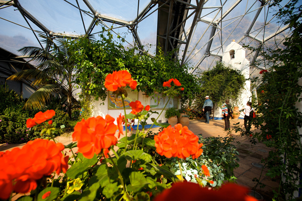 Mediterranean Biome