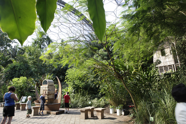 Rainforest Spice Area