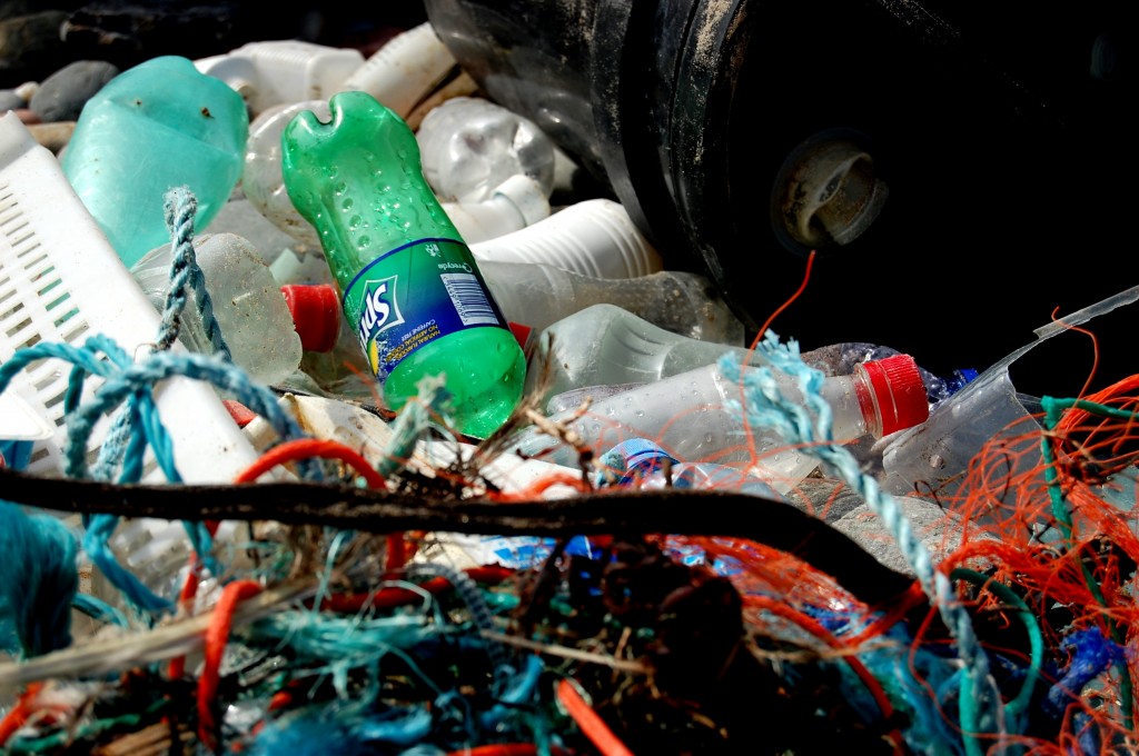 litter beach