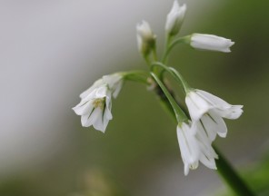 IMG_2641