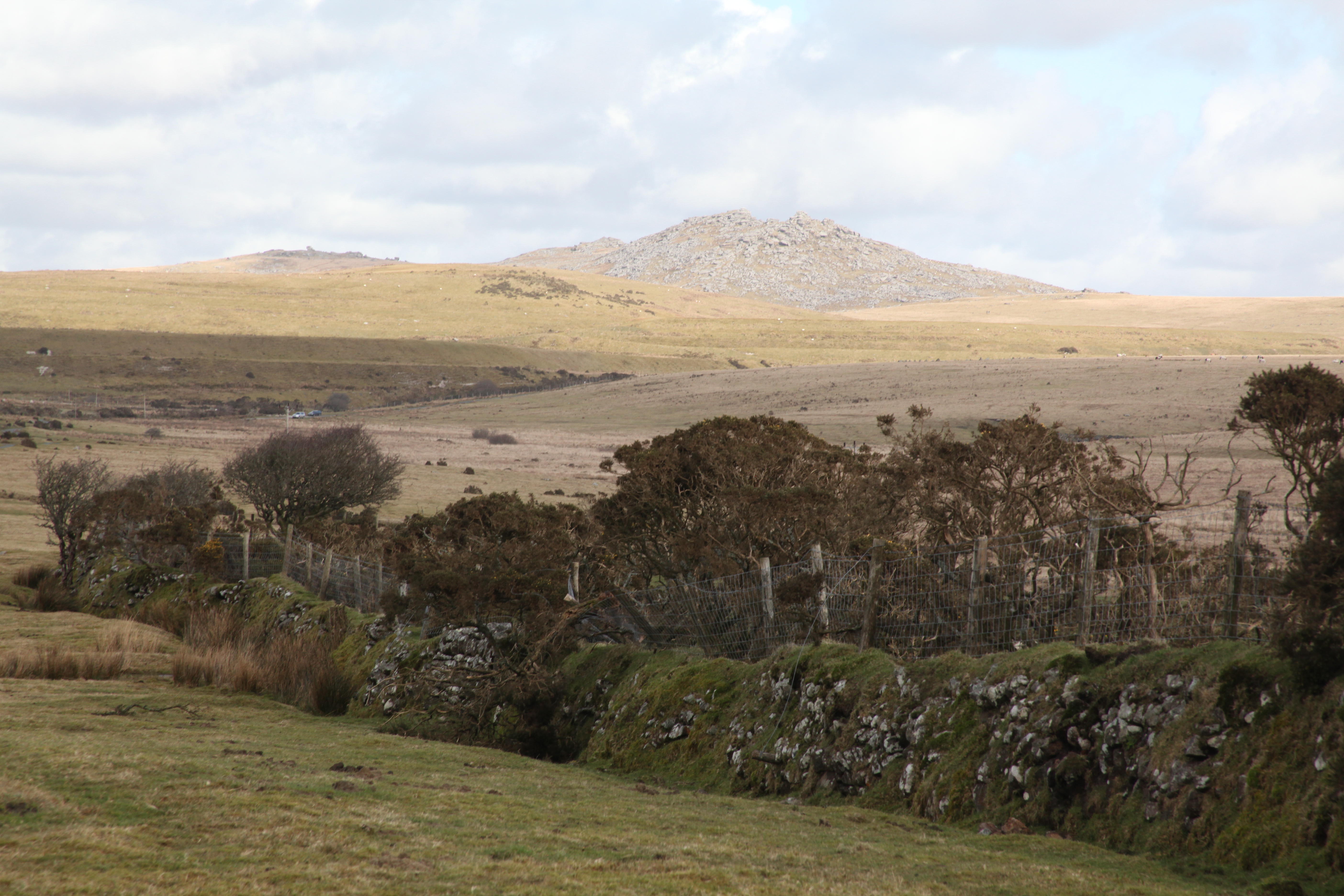 Roughtor