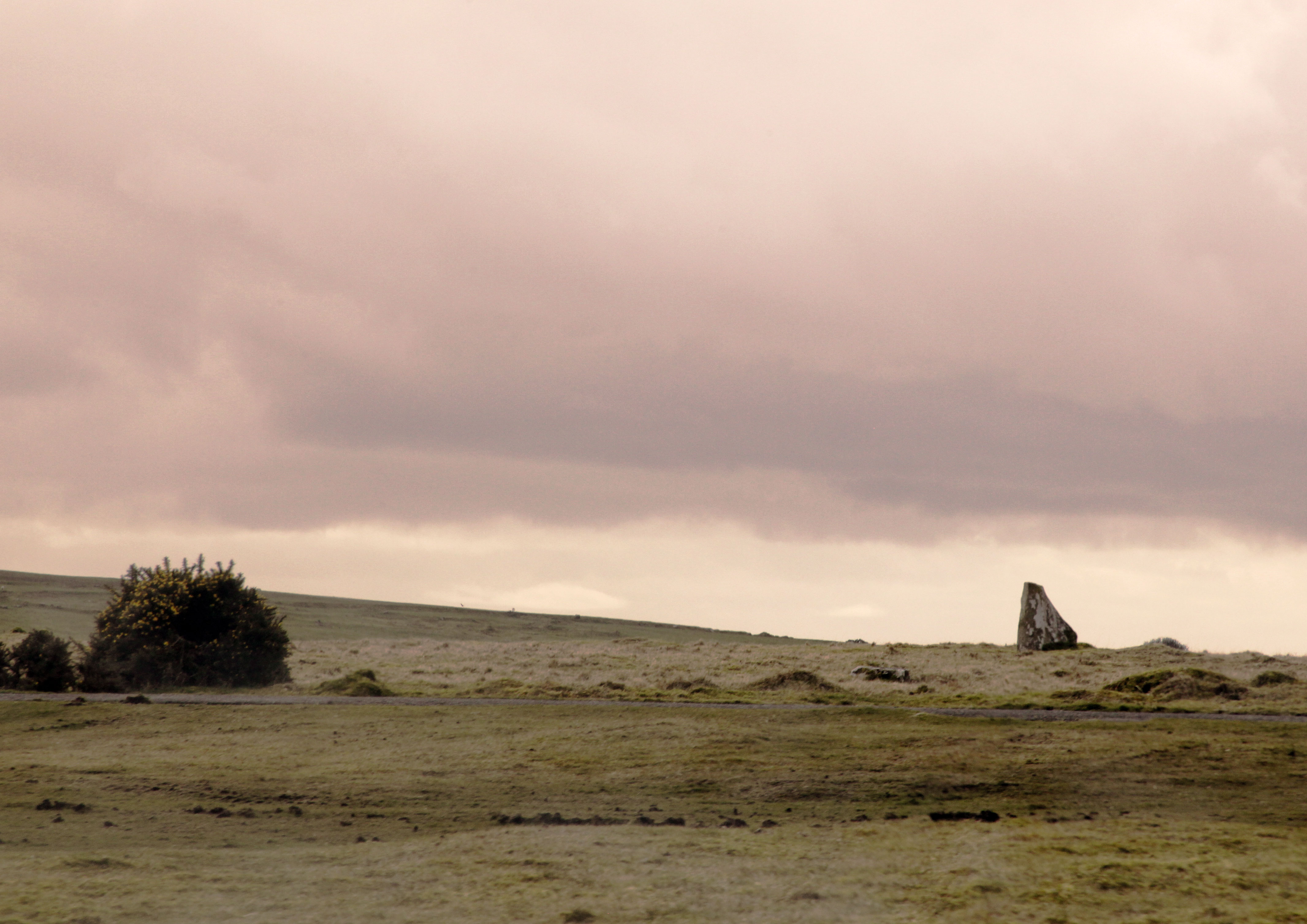 Bodmin Moor near Blisland