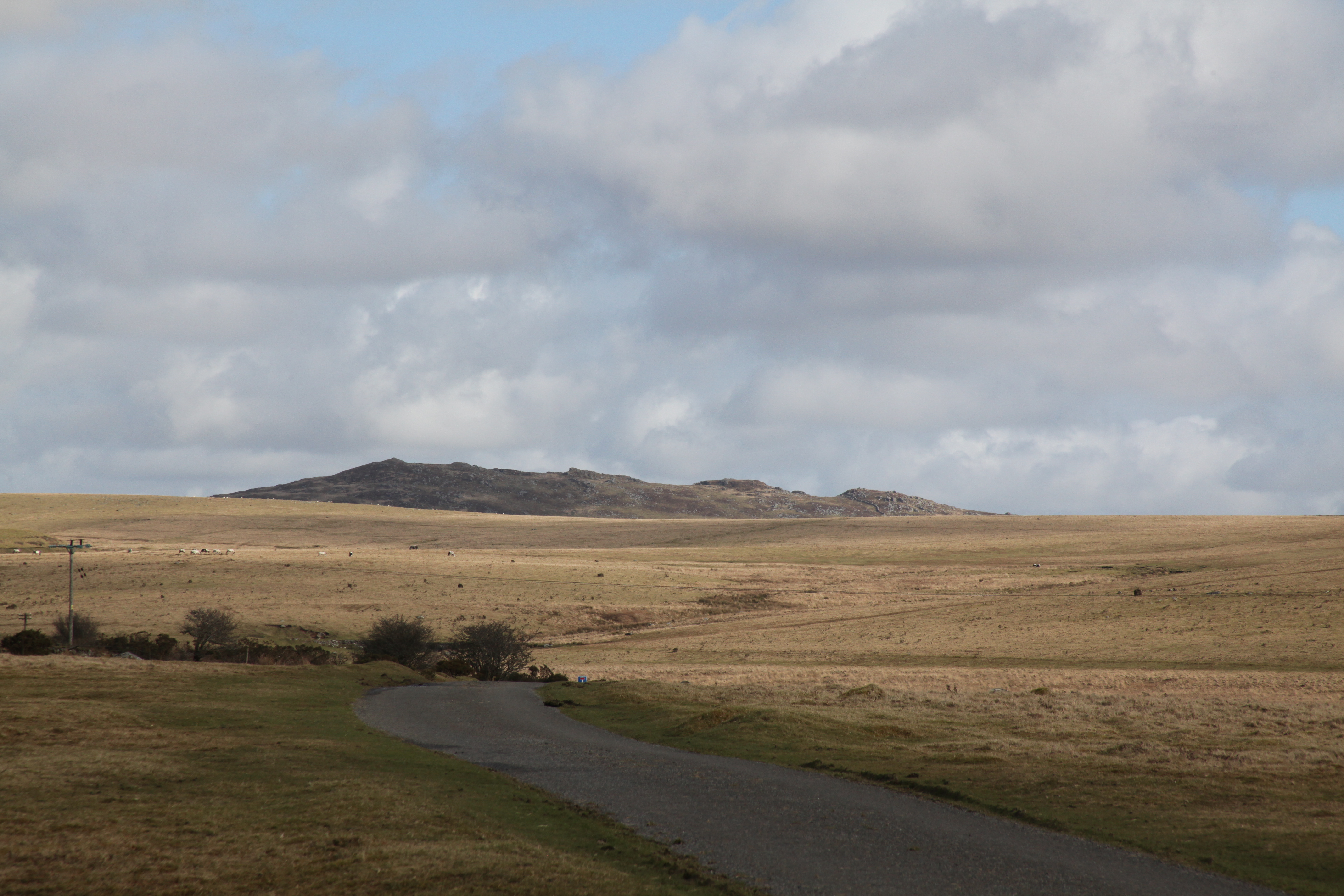 View of Roughtor
