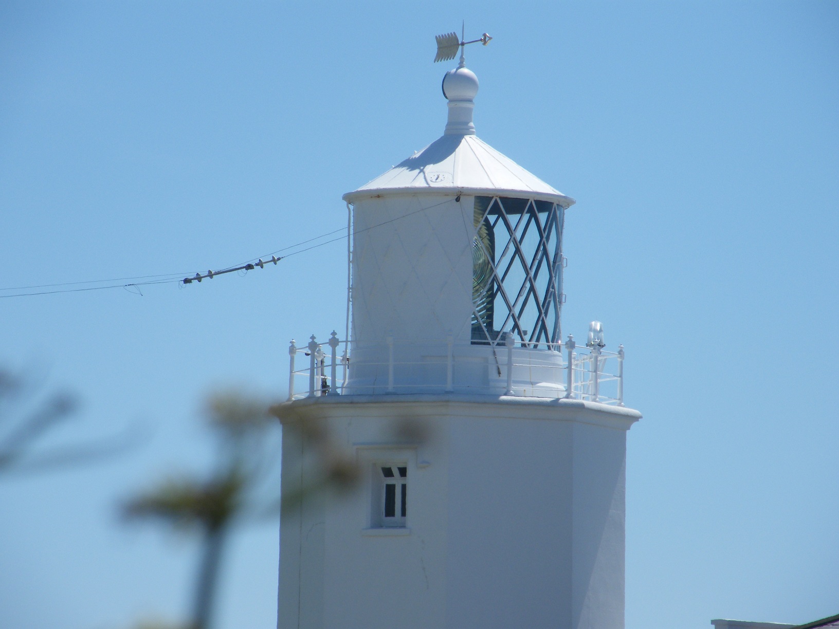 lizard_lighthouse