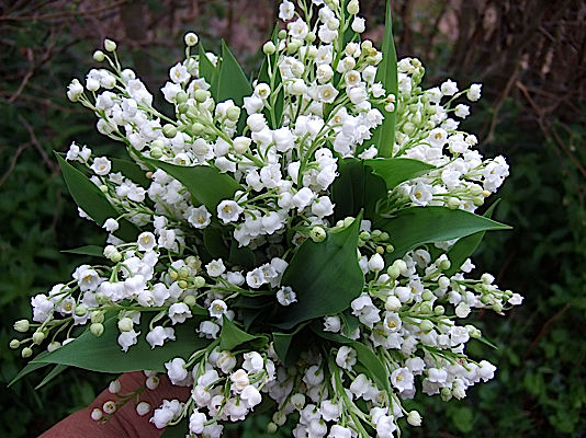 flowersbyfleuri.com