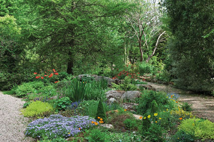 Marsh Villa Garden