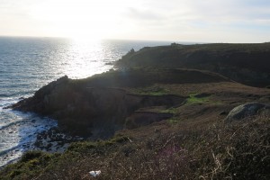 IMG_2157