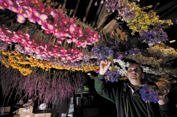 Dave Bouch at Cotehele