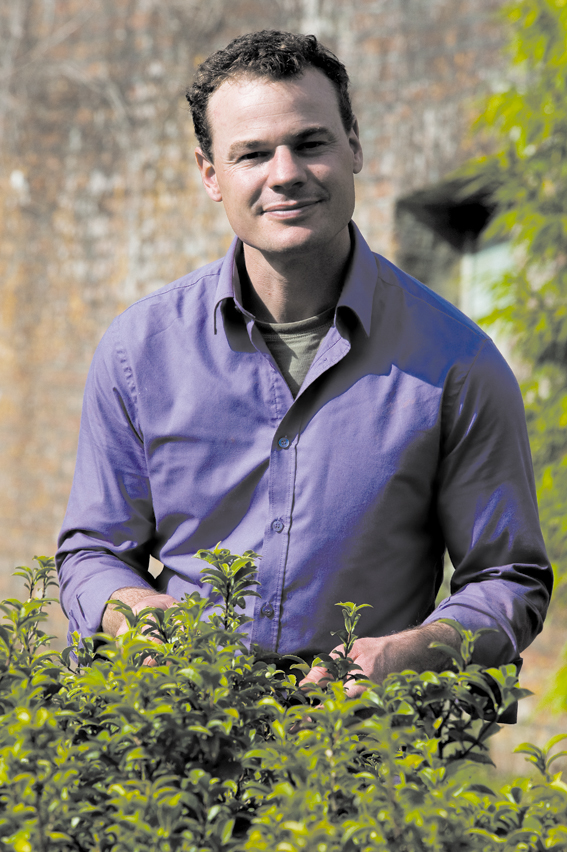 Neil Bennett at Tregothnan.