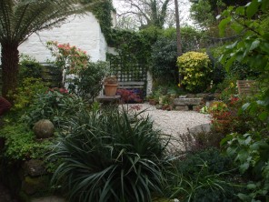 Ludgvan garden with tree fern
