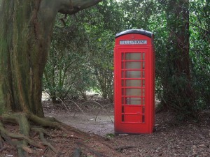 8627866078_6b81221e3d_z