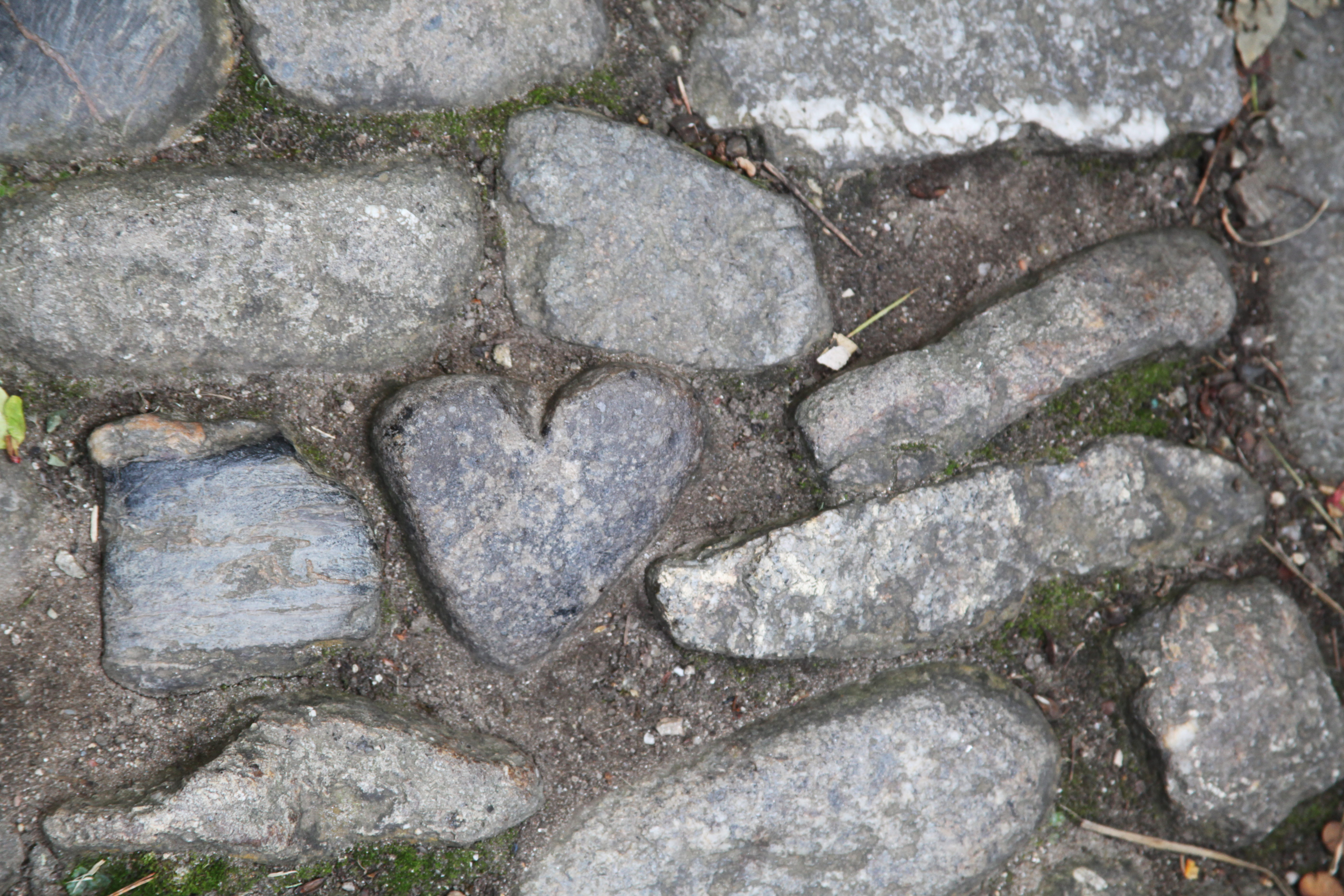 The Giant's heart