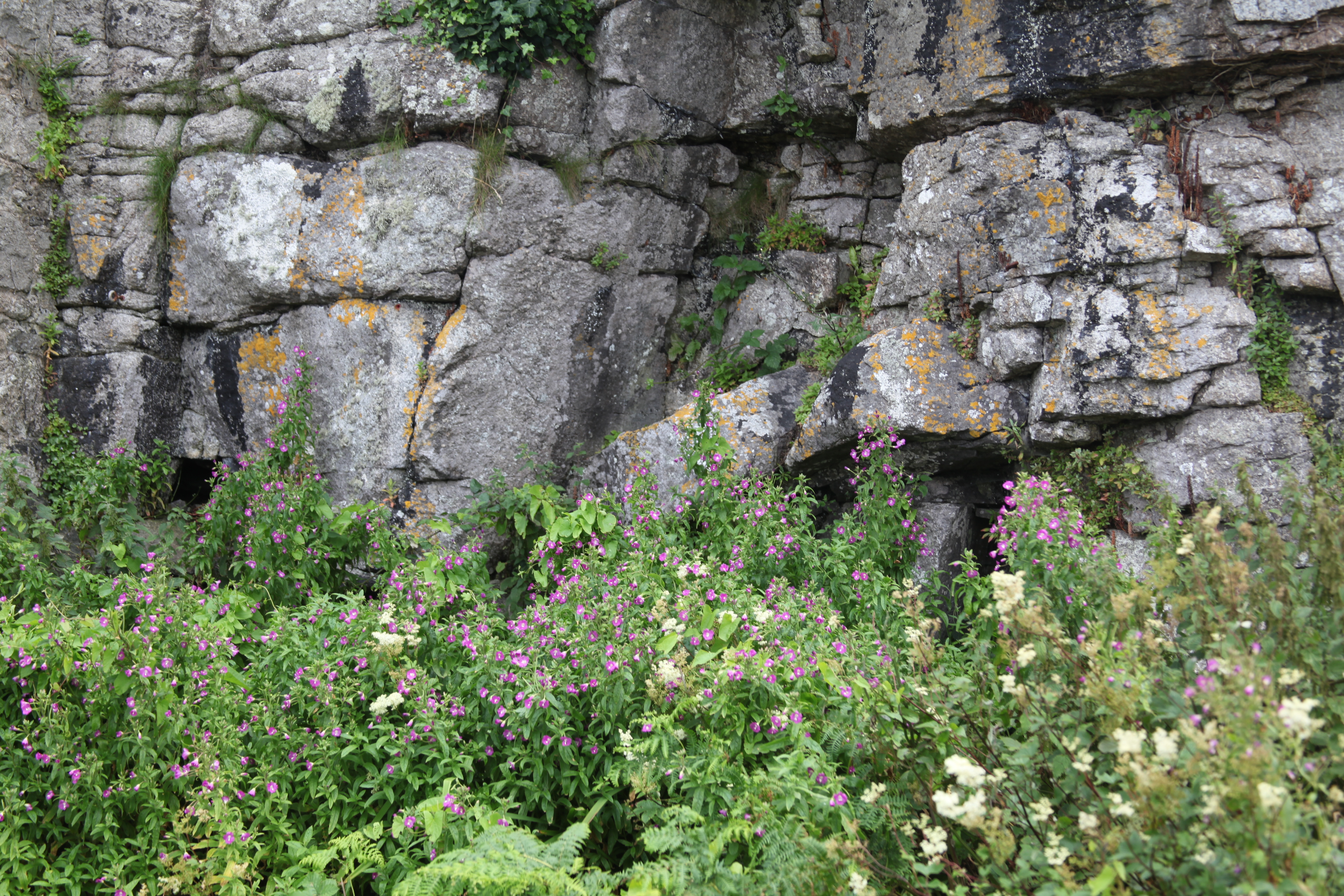 Castle walls