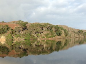 walks_loe_bar1